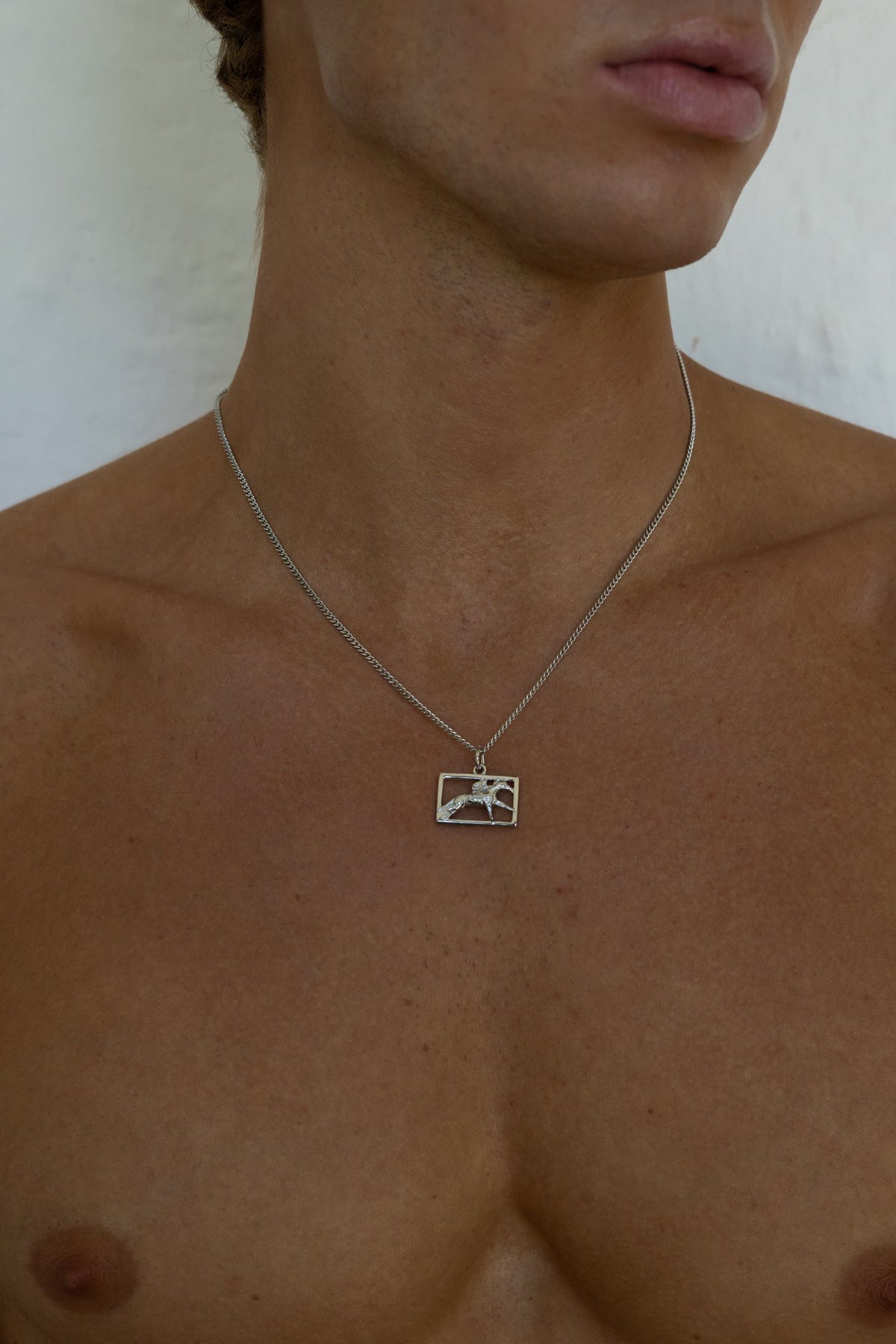 Silver-tone necklace with a rectangular horse and rider plaque, view 6 of 8