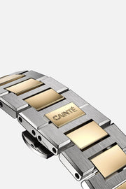 Folding clasp and brushed links of the bracelet
