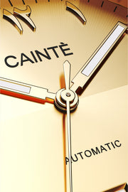 Macro view of the gold-tone Arabic numeral dial and polished hands