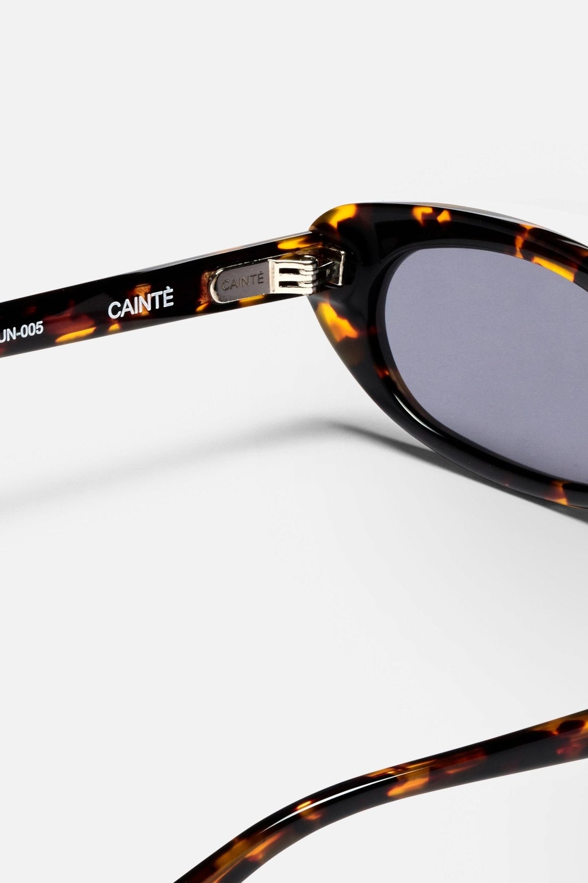 Close-up of the tortoise temple